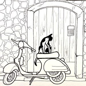 gattino sul moto